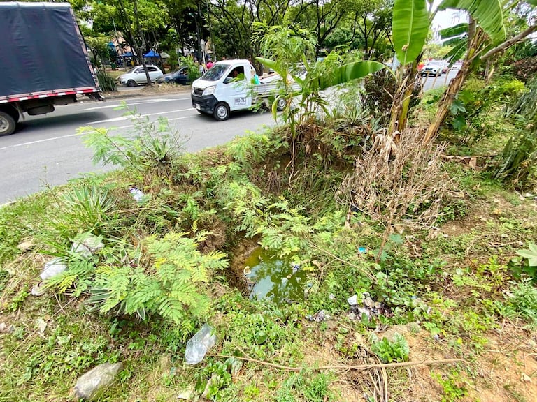 Comunidad denuncia hueco sobre el separador vial de la autopista Simón Bolívar.