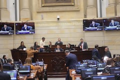 El Congreso reanudó el debate del proyecto de presupuesto de la Nación del 2026. Foto: Senado.