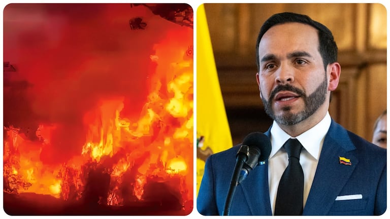 El presidente Abelardo De La Espriella habla sobre los incendios forestales en el país.