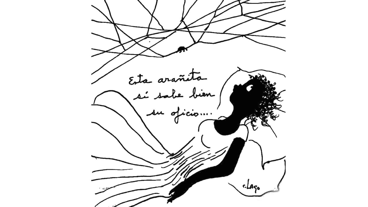 Nieves, 26 de diciembre de 2025.