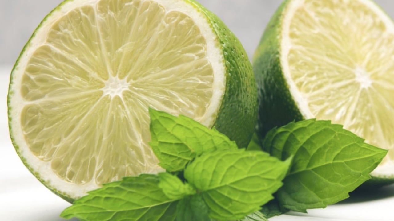 El poder del limón se potencializa al mezclarlo en infusión con la menta