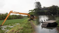 La jornada contribuyó a mejorar la salud de estos cuerpos de agua.