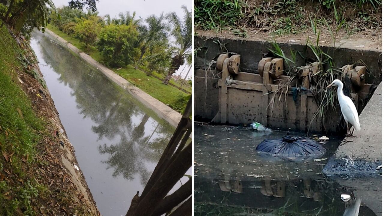 Habitantes del sur de Cali denunciaron el estancamiento del caño ubicado en la Carrera 26 con Calle 97, que genera malos olores y proliferación de zancudos.