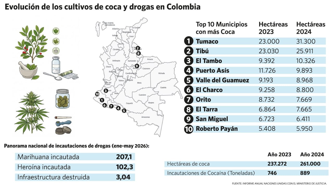 Evolución de los cultivos de coca en los últimos años.