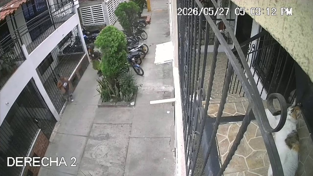 Cámaras de seguridad captaron el momento en que un presunto ladrón intimidó con arma de fuego a una mujer en un pasaje peatonal del barrio Morichal de Confandi, en el oriente de Cali.