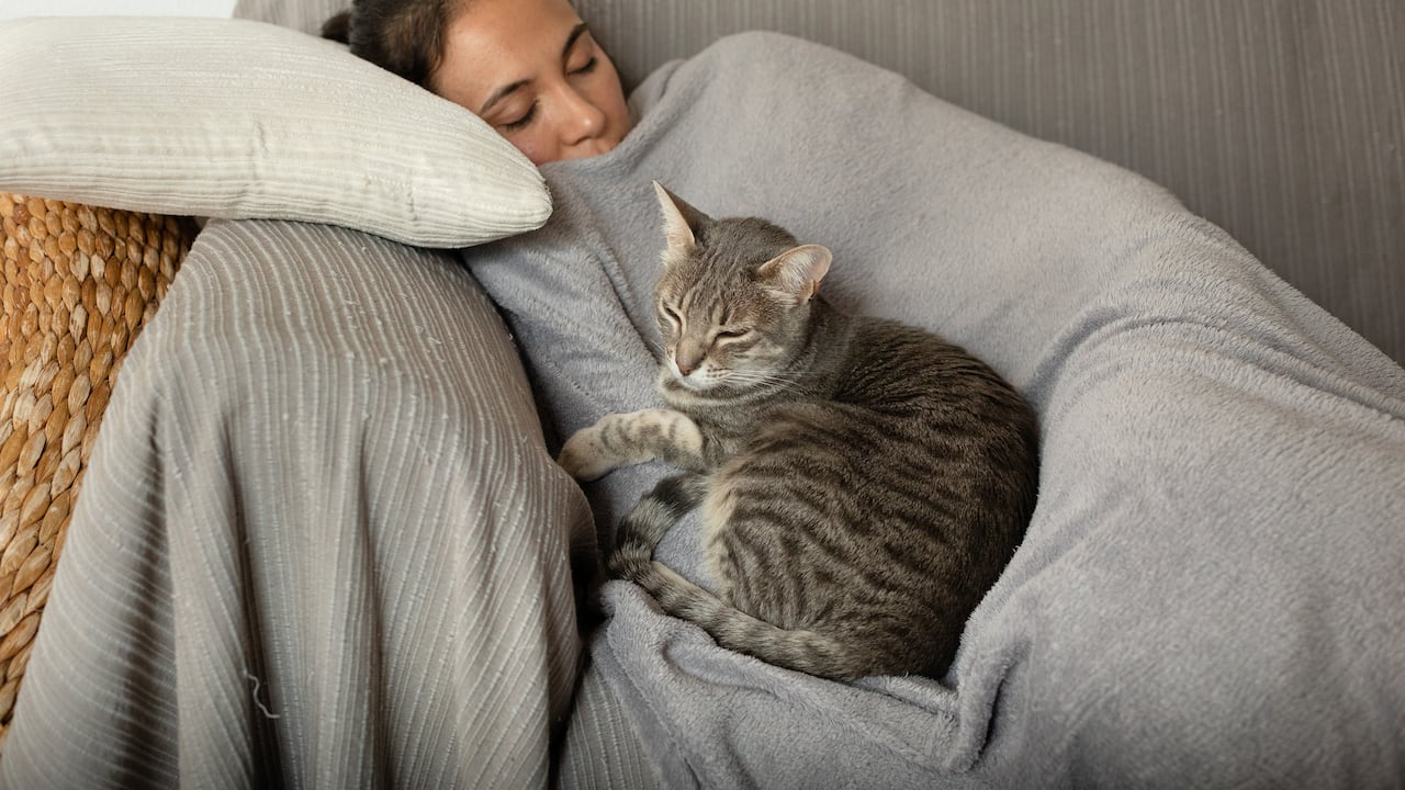 Los gatos eligen a quién acurrucarse en la noche y aquí se explican las razones.