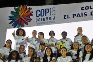 Cali: Arranca en firme organización de la COP 16, relanzamiento del evento en Cali, con presencia dela Ministra de Medio Ambiente, Alcalde de Cali, Gobernadora y vicepresidente, entre otras autoridades. foto José L Guzmán. El Pais.