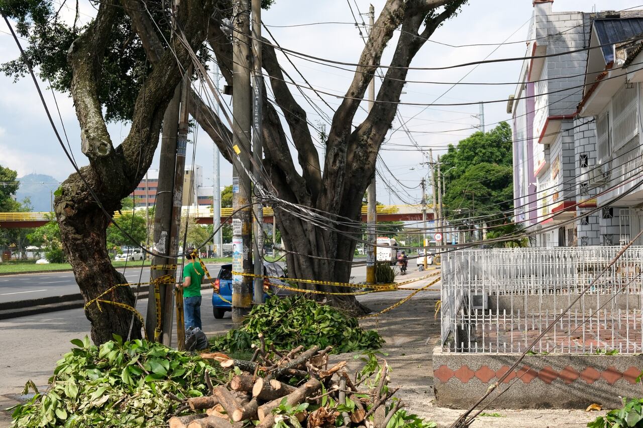Avanza atención de emergencias por precipitaciones del fin de semana