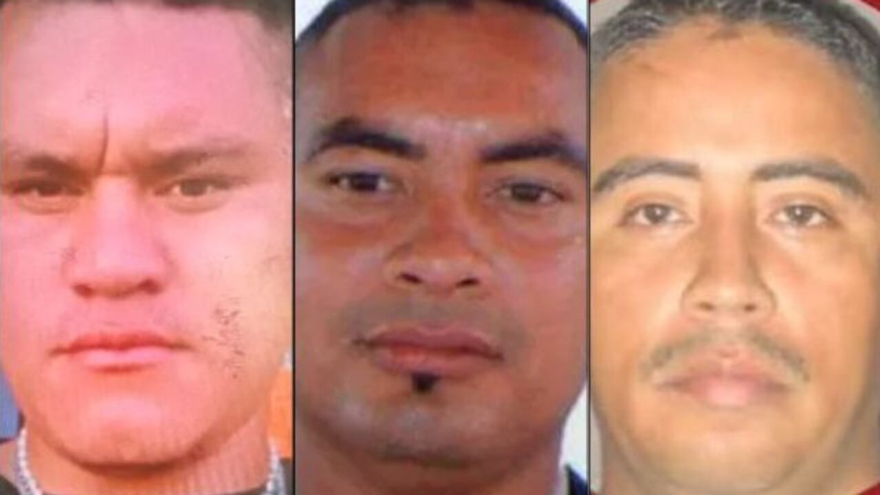 El ministro de Defensa de Colombia, Pedro Sánchez, publicó a través de su cuenta de X la recompensa que ofrece el Estado por información que permita la captura de alias Gonzalito, alias Richard y Alias Matía.