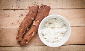 Así debe sembrar yuca.