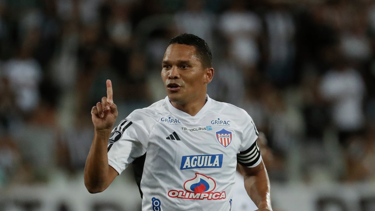 Botafogo vs Junior - fecha 1 - Copa Libertadores.