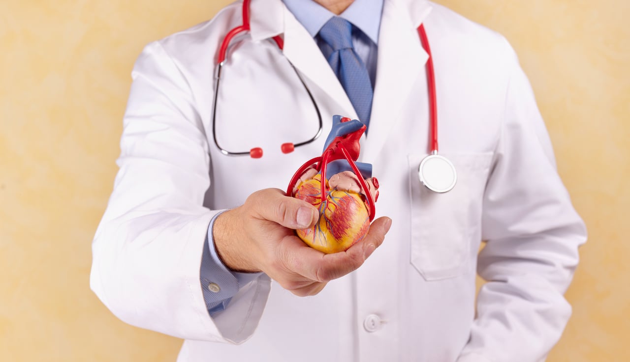 Descubrimientos científicos respaldan el uso de una planta medicinal antigua para mejorar la circulación sanguínea y prevenir enfermedades cardiovasculares.
