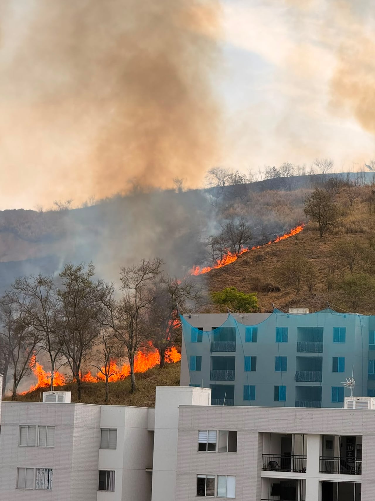 El incendio de cobertura vegetal se registra en la zona montañosa de Ciudad Guabinas, frente a la Unidad Peñón.