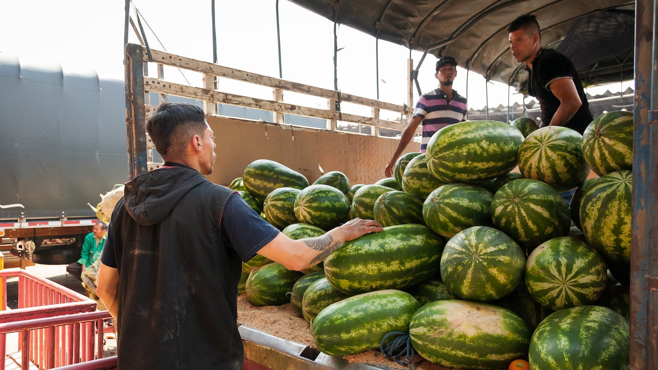Trabajadores