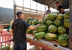 Trabajadores