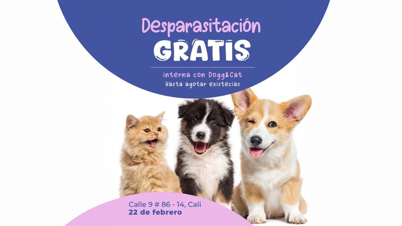 ¡Cuidamos de quienes más quieres! En #PeluditosFest, tu mascota recibirá desparasitación gratuita y descuentos en vacunas. ¡No faltes!