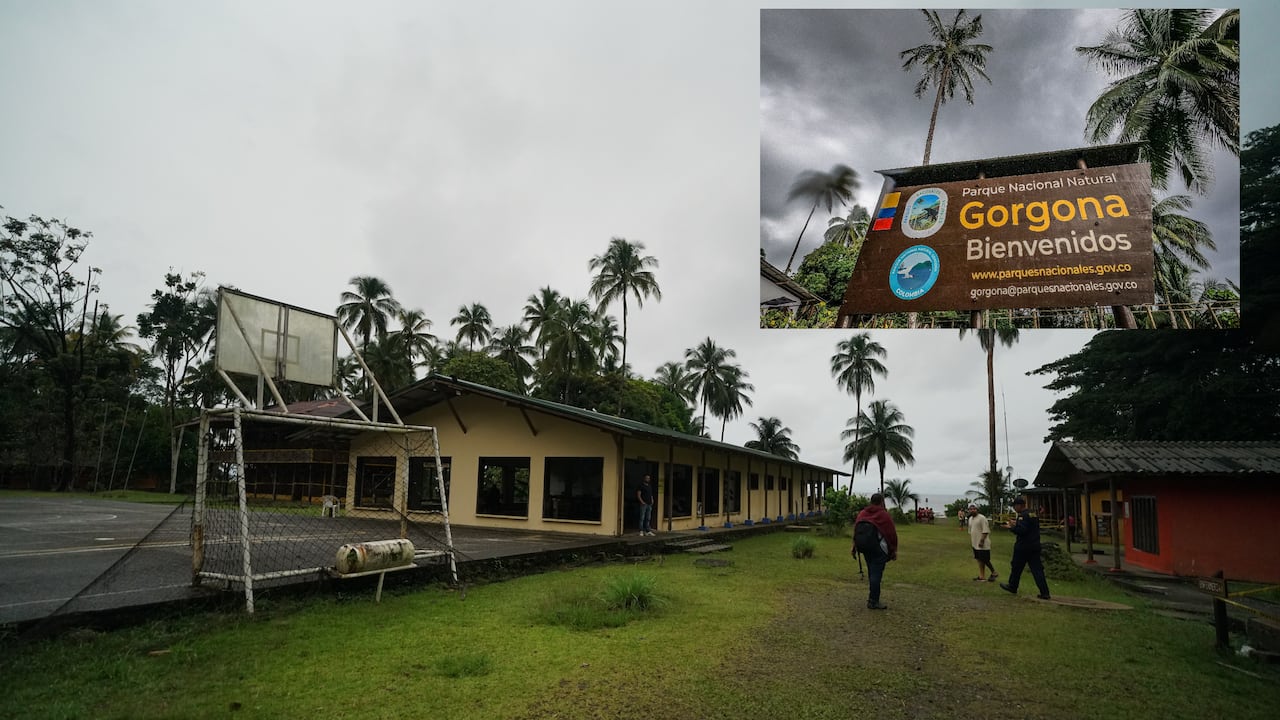 La isla Gorgona fue declarada hace 40 años Parque Nacional Natural, luego de que el expresidente Belisario Betancur ordenara el cierre de la prisión en 1984, tras albergar durante 35 años a condenados considerados de alta peligrosidad. Hace tres años se venció la concesión y sigue cerrada al turismo de larga estancia. Solo opera como pasadía, saliendo desde Guapi.
