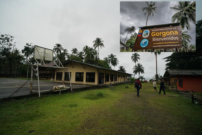 La isla Gorgona fue declarada hace 40 años Parque Nacional Natural, luego de que el expresidente Belisario Betancur ordenara el cierre de la prisión en 1984, tras albergar durante 35 años a condenados considerados de alta peligrosidad. Hace tres años se venció la concesión y sigue cerrada al turismo de larga estancia. Solo opera como pasadía, saliendo desde Guapi.