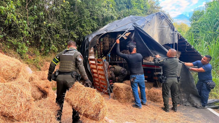 La Policía del Valle del Cauca incautó varias toneladas de marihuana en las vías del departamento.