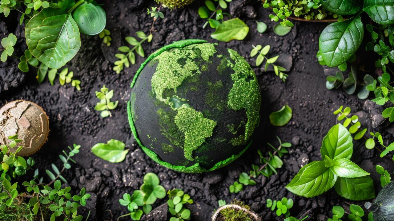 Colombia empieza a ejecutar medidas que le apuestan a un entorno más consiente con el medio ambiente '.