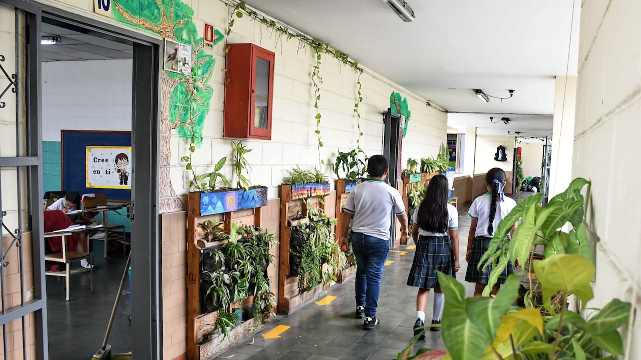 Cali: Colegio Eco escuela Alberto Sardi, San Antonio: foto José L Guzmán. EL País