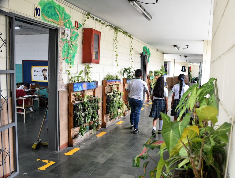 Cali: Colegio Eco escuela Alberto Sardi, San Antonio: foto José L Guzmán. EL País