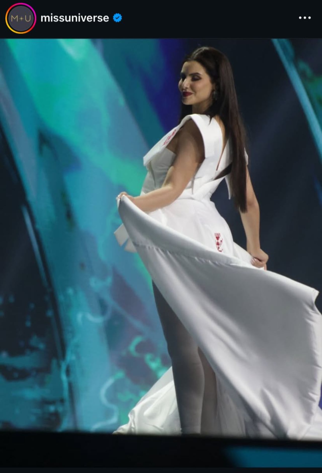 Nadeen Ayoub, Miss Palestina.