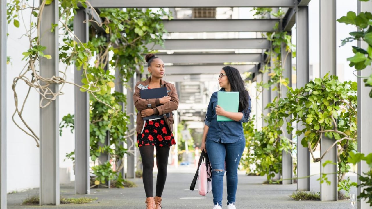 Becas para estudiar en Nueva Zelanda.