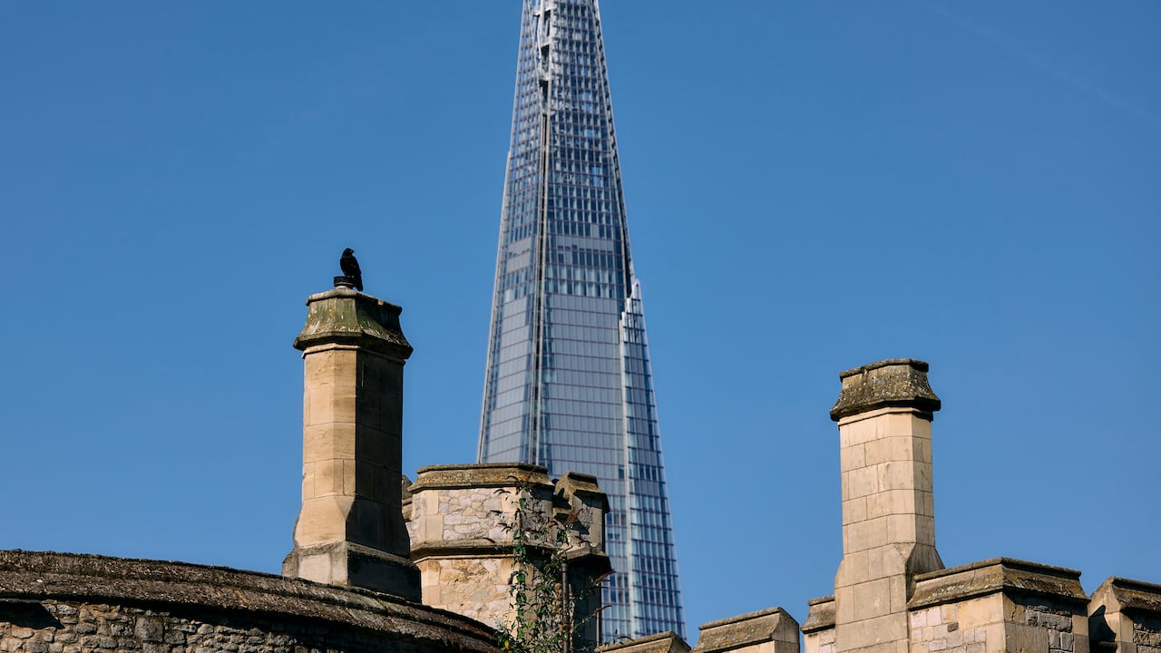 Los miembros de los Yeomen Warders, el cuerpo de guardias ceremoniales responsables de proteger la torre, en particular las joyas de la Corona, se han hecho cargo de los pájaros.