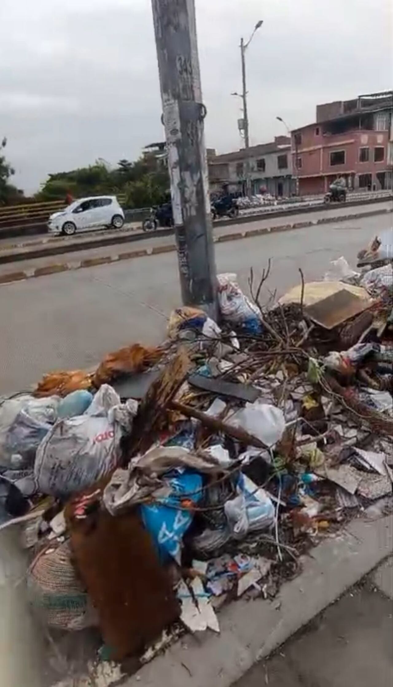 Habitantes reportan que los desechos permanecen por varios días en la Troncal de Aguablanca, Cra 27, sin que se logre una solución definitiva al problema.
