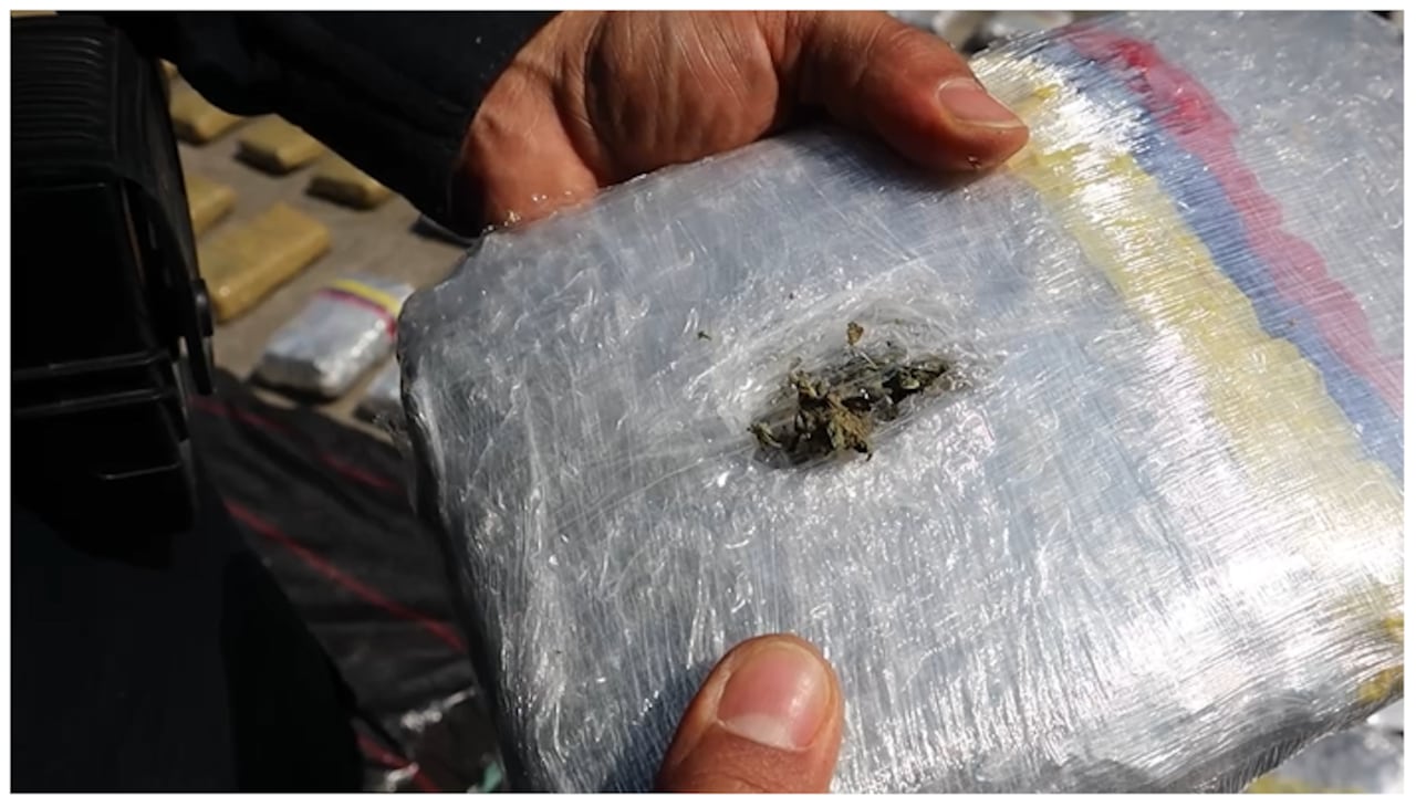 Marihuana camuflada en falsa “Misión Médica”.