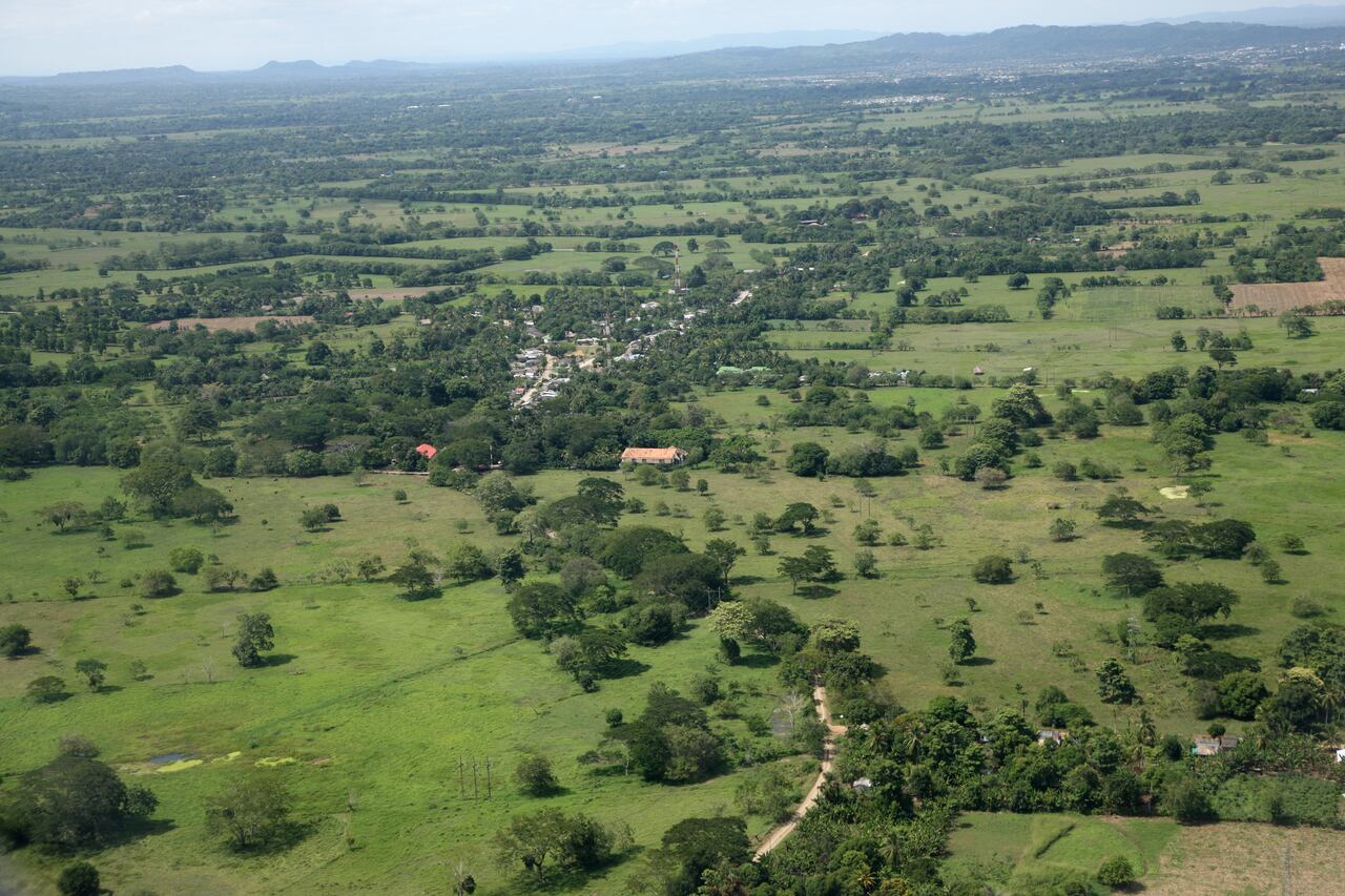 Cultivos, Monteria