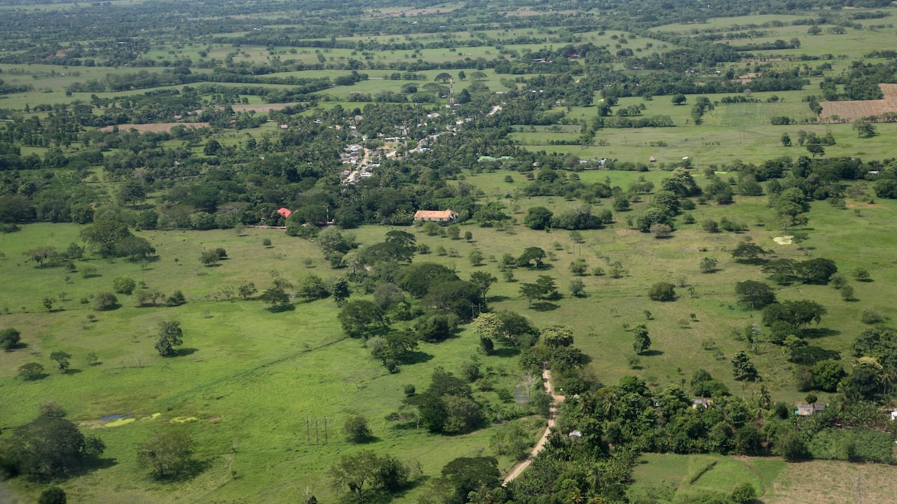 Cultivos, Monteria