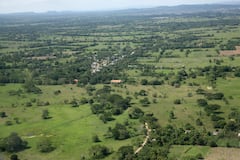 Cultivos, Monteria