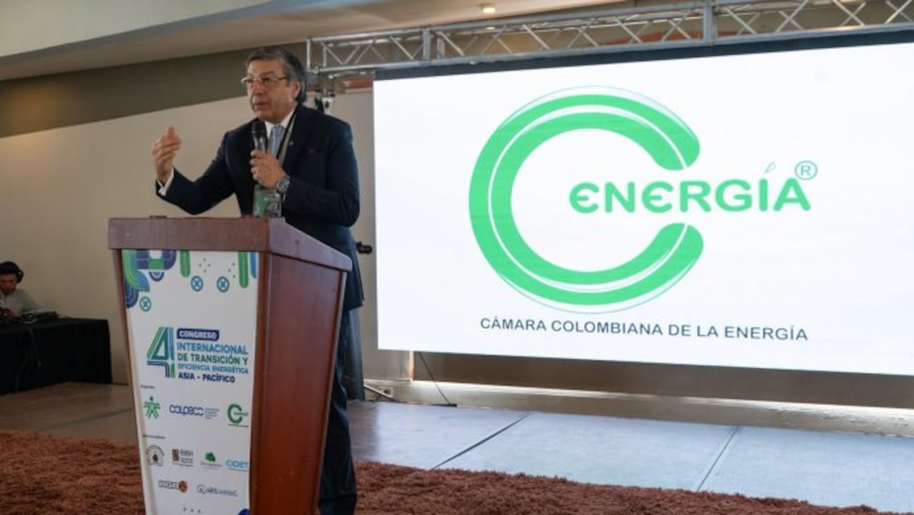 Jorge Hernando Pedraza, presidente ejecutivo de la Cámara Colombiana de la Energía.