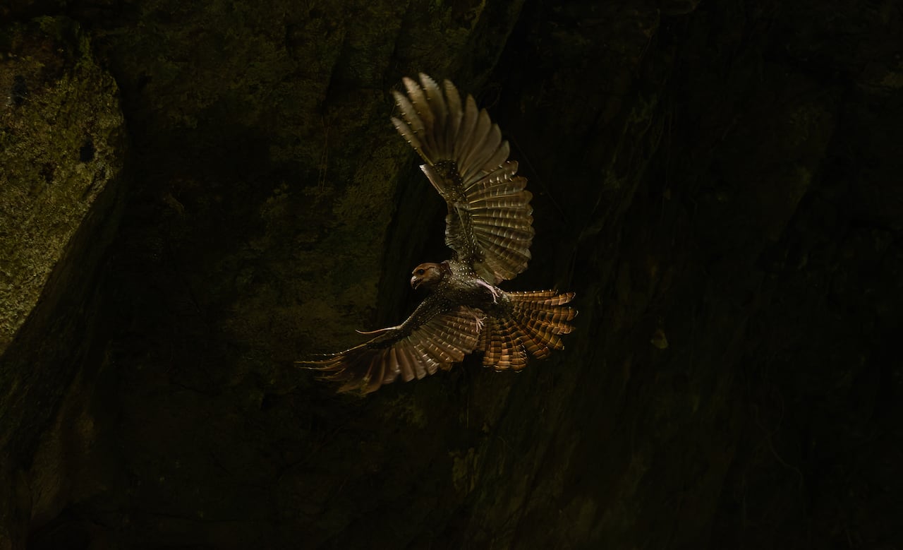 Fotografía de Faber Mosquera.