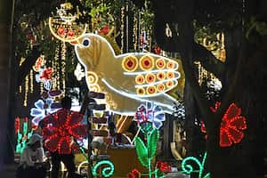 Cali: Alumbrado navideño en el bulevar del río y el Paseo Bolívar de Cali. foto José L Guzmán. El País