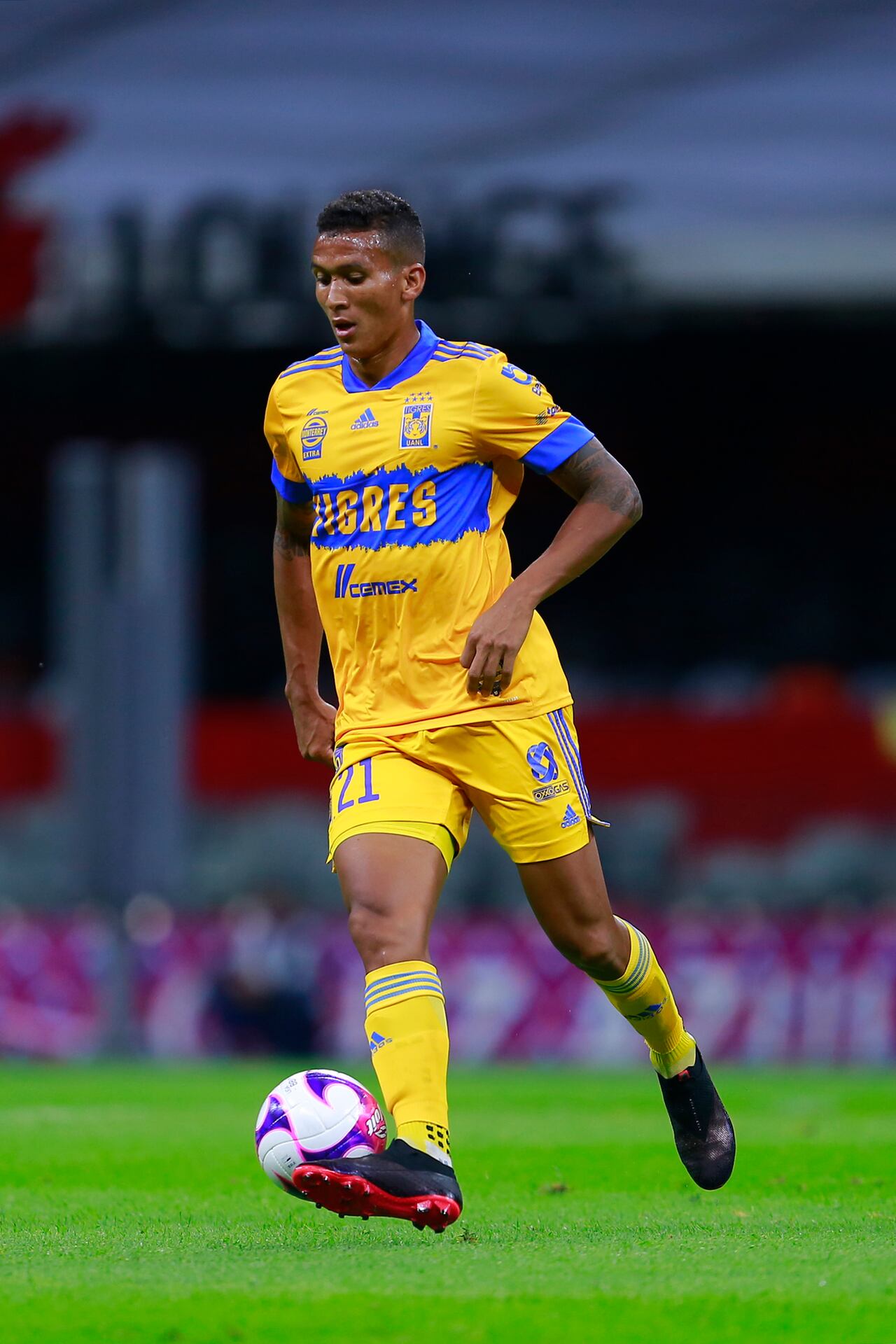 Francisco Meza vistiendo los colores de Tigres de México.