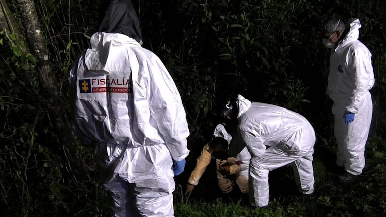 Primeros acercamientos