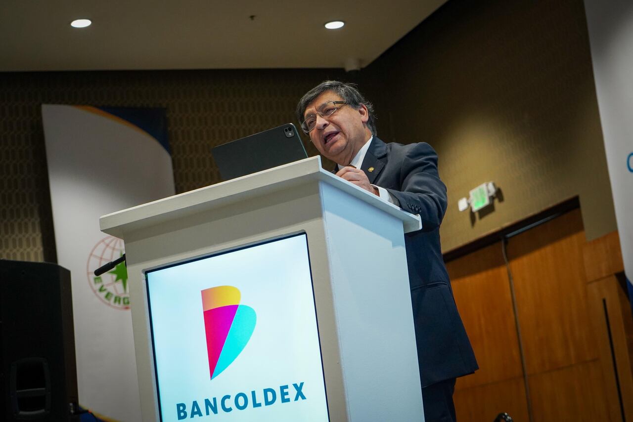 Jorge Enrique Ibañez, presidente de la Corte Constitucional, hizo una defensa de la democracia. Foto: prensa Analdex