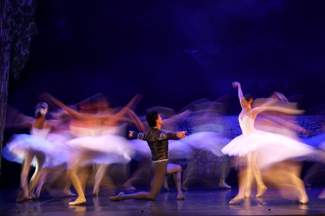El Lago de los Cisnes, con la Compañía Colombiana de Ballet Clásico de INCOLBALLET, una majestuosa producción que vuelve a escena junto a la Banda Departamental del Valle del Cauca, con música en vivo. En el Teatro Municipal Enrique Buenaventura.