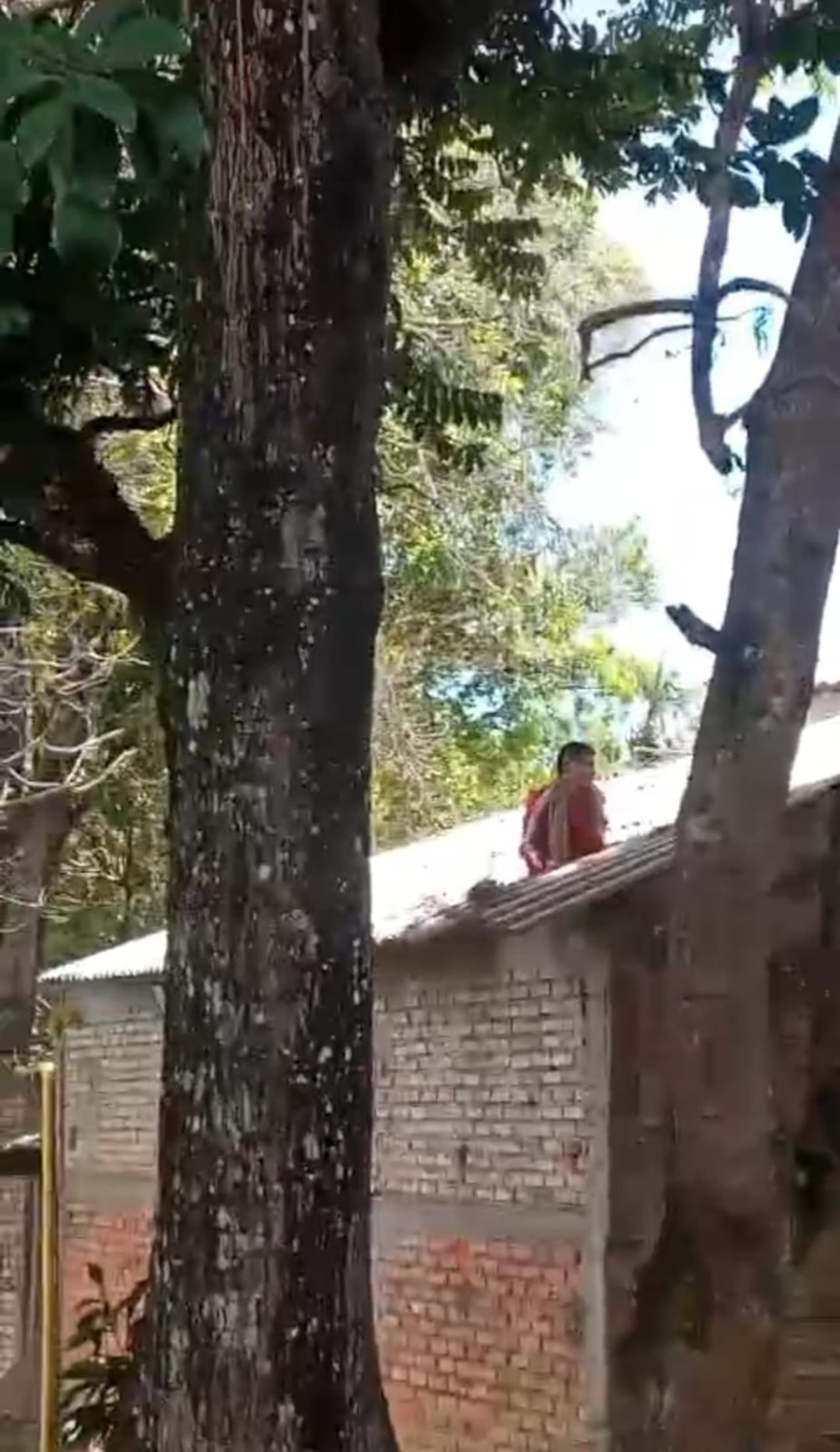 Tres personas privadas de la libertad intentaron fugarse de la carceleta que funciona en las antiguas instalaciones de la escuela Laura Valencia de Popayán.
