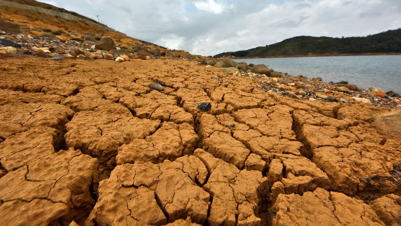 El fenómeno del Niño no solo ha cambiado la intensidad de los fenómenos meteorológicos, sino que también ha cambiado los paisajes naturales, como pasa con el Lago Calima en el Valle del Cauca. En las orillas de este gran lago artificial, se nota la disminución en el nivel de sus aguas