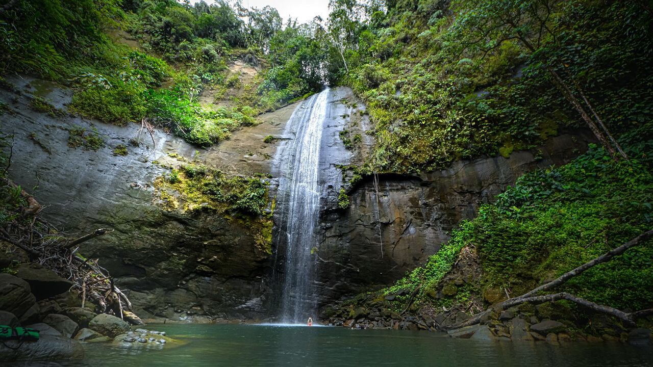 Invest Pacific, Especial Inversiones