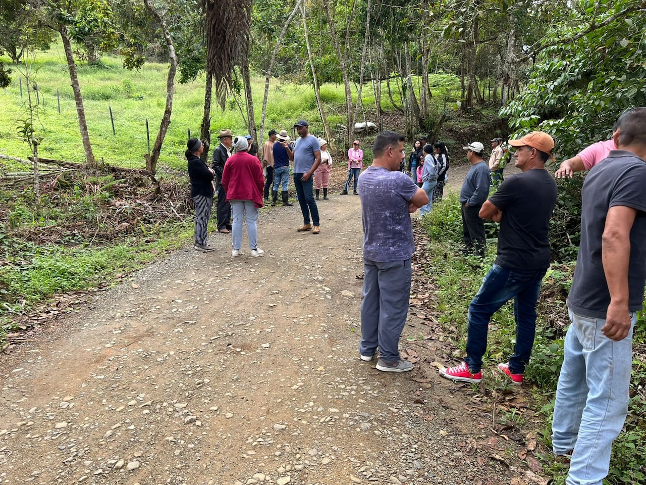 Habitantes de cuatro veredas denuncian deforestación y venta de lotes en área protegida de La Cumbre