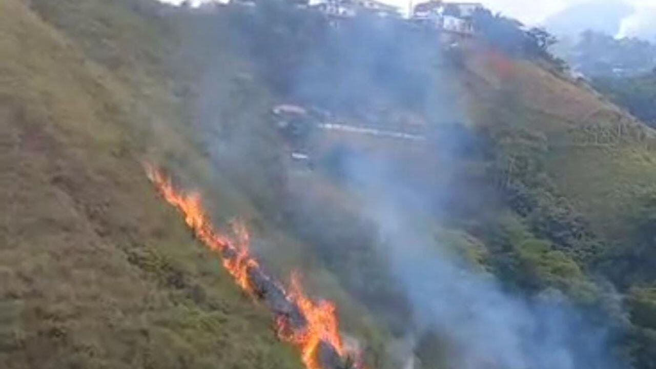 Al menos 10 hectáreas de vegetación fueron consumidas por el incendio forestal.