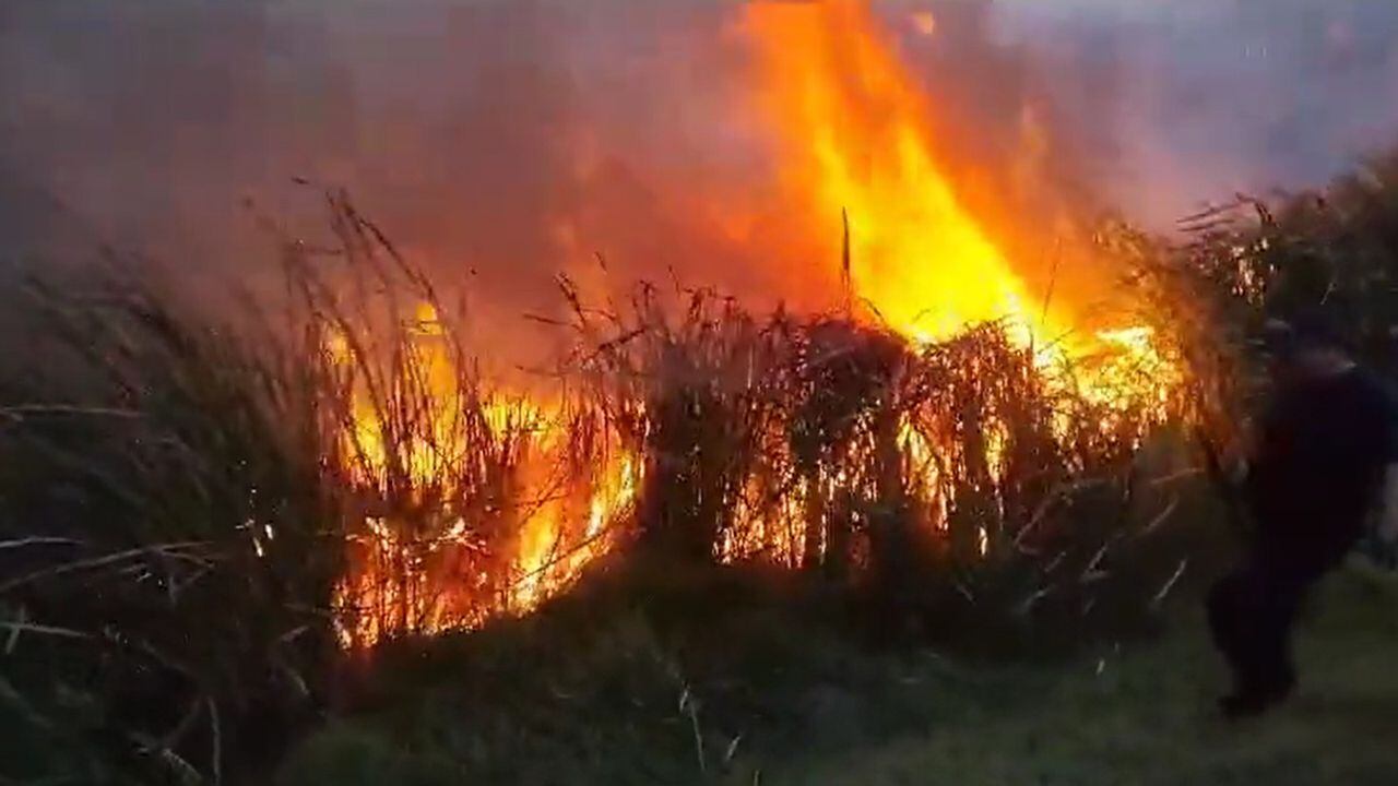 Se han atendido unos ocho incendios forestales de gran magnitud en Cundinamarca, en las últimas horas.