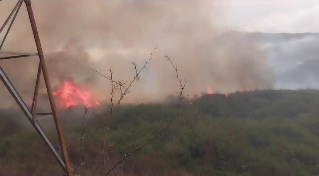 Según informaron desde el Cuerpo de Bomberos del municipio, el incendio forestal es extenso.