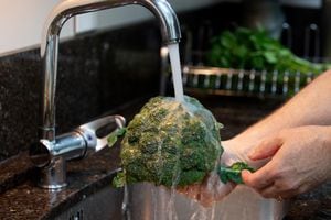 Las verduras, como el brócoli, deben lavarse antes de ser consumidas.