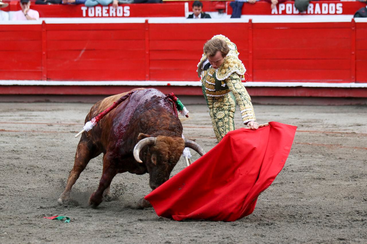Román Collado, torero español, triunfador de laprimera  eabono de la Feria Taurina de Manizales 2023.